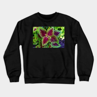 red and green leaves Crewneck Sweatshirt
